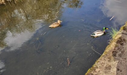 14/03/26 clean up summary