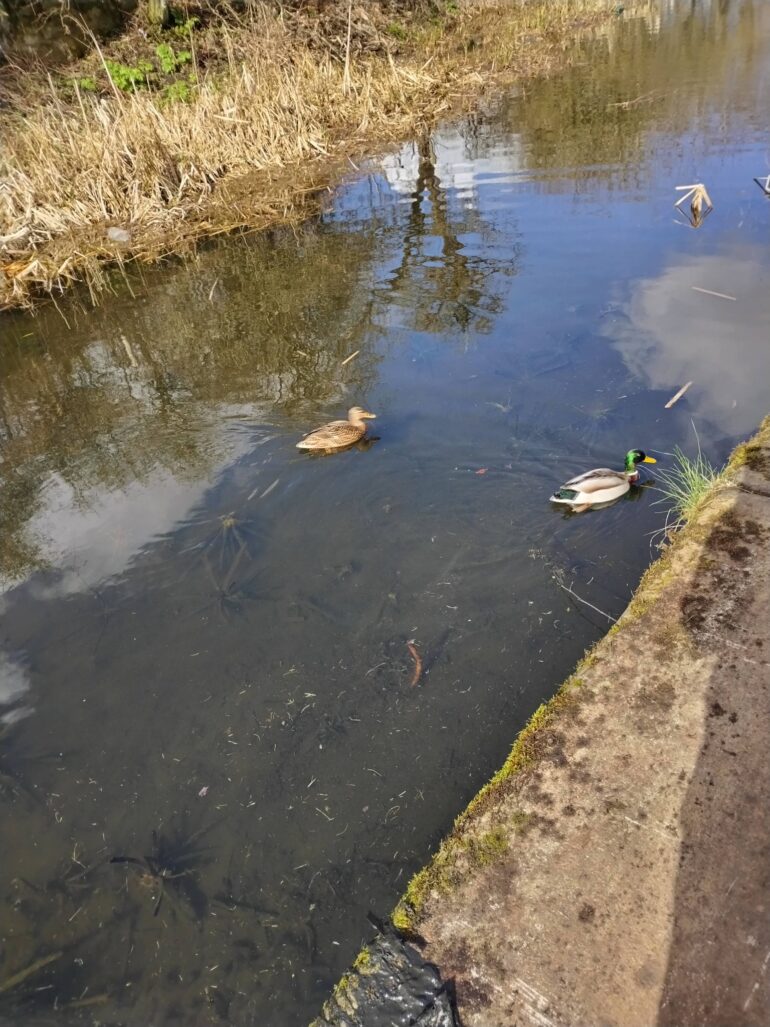 14/03/26 clean up summary